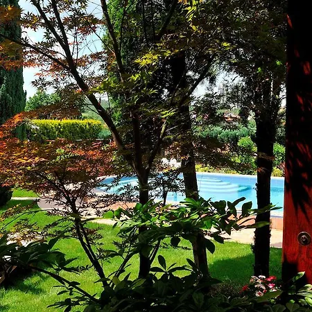 Saga Paradiso Penzion 3*